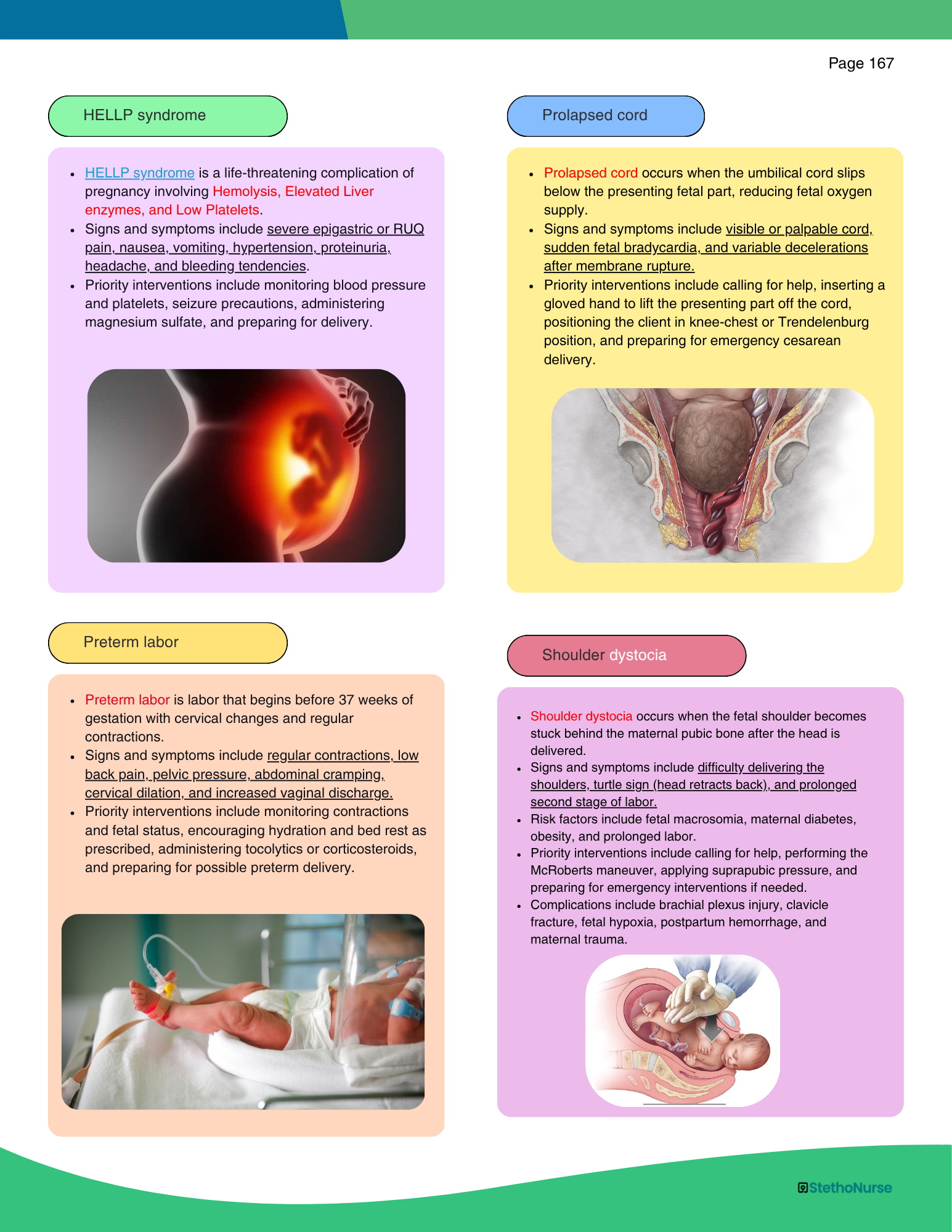 The NCLEX Predictor- Physical Book