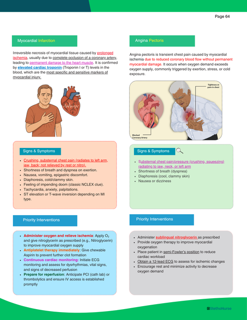 The NCLEX Predictor- Physical Book